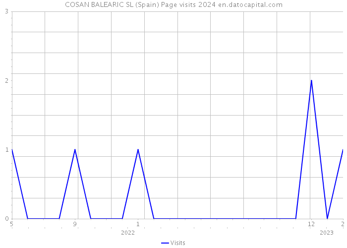 COSAN BALEARIC SL (Spain) Page visits 2024 
