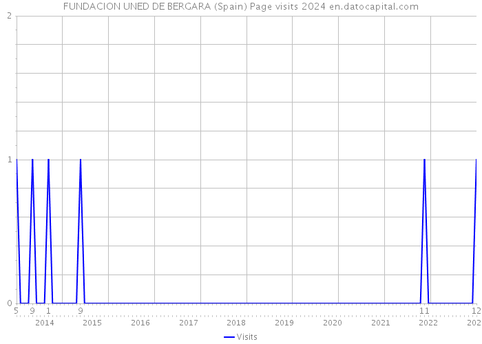 FUNDACION UNED DE BERGARA (Spain) Page visits 2024 