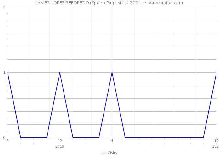 JAVIER LOPEZ REBOREDO (Spain) Page visits 2024 