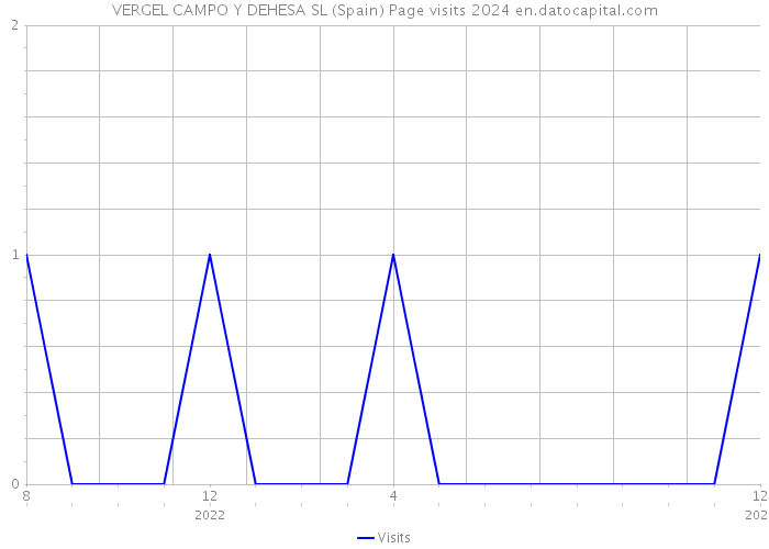 VERGEL CAMPO Y DEHESA SL (Spain) Page visits 2024 