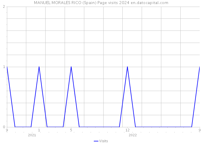 MANUEL MORALES RICO (Spain) Page visits 2024 