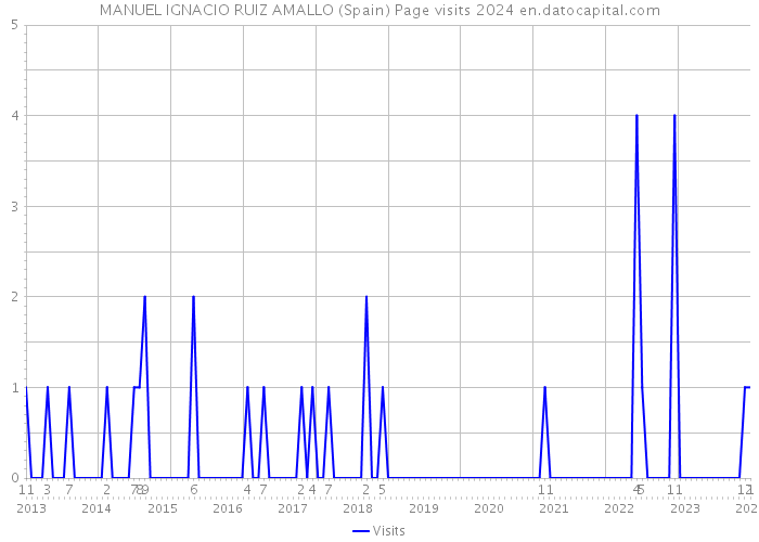 MANUEL IGNACIO RUIZ AMALLO (Spain) Page visits 2024 