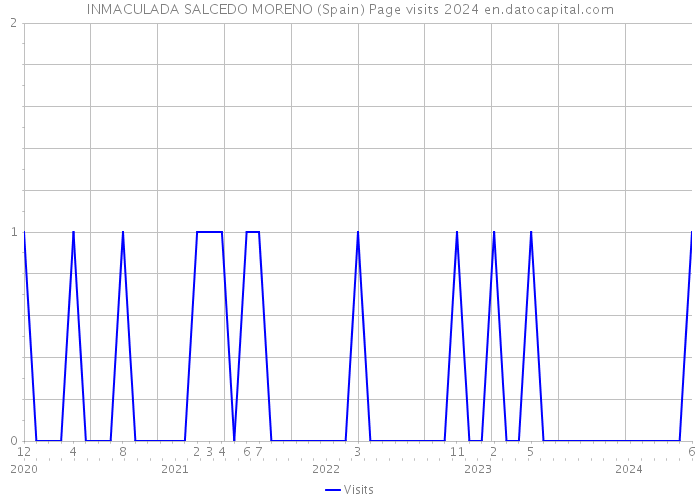 INMACULADA SALCEDO MORENO (Spain) Page visits 2024 