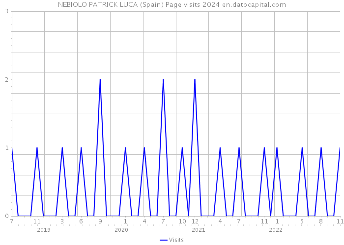 NEBIOLO PATRICK LUCA (Spain) Page visits 2024 