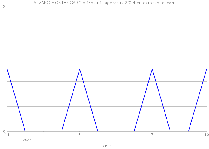 ALVARO MONTES GARCIA (Spain) Page visits 2024 