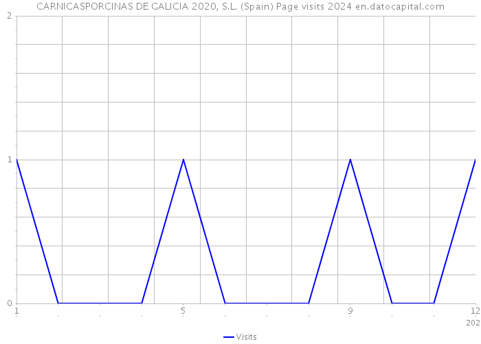 CARNICASPORCINAS DE GALICIA 2020, S.L. (Spain) Page visits 2024 
