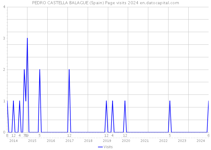 PEDRO CASTELLA BALAGUE (Spain) Page visits 2024 