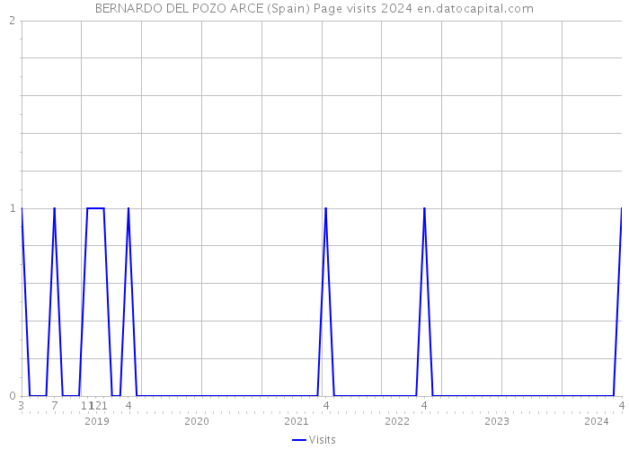 BERNARDO DEL POZO ARCE (Spain) Page visits 2024 