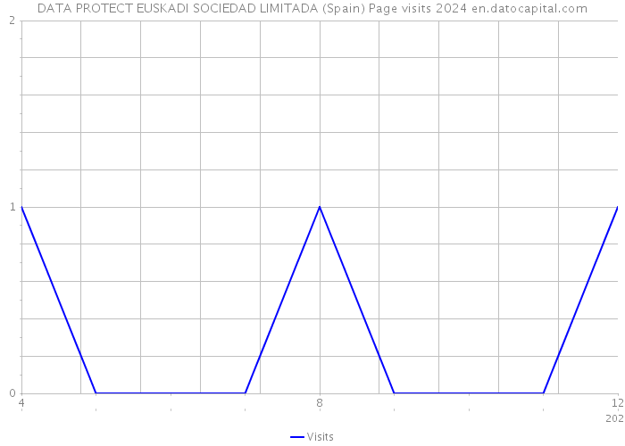 DATA PROTECT EUSKADI SOCIEDAD LIMITADA (Spain) Page visits 2024 