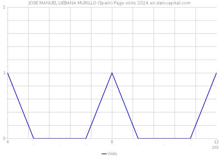JOSE MANUEL LIEBANA MURILLO (Spain) Page visits 2024 