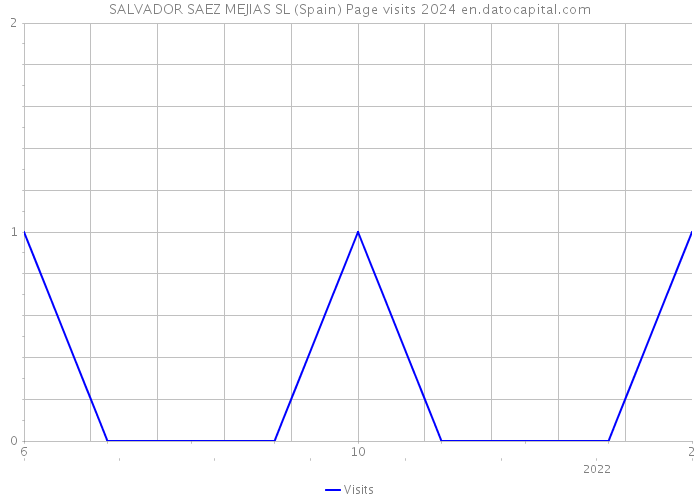 SALVADOR SAEZ MEJIAS SL (Spain) Page visits 2024 