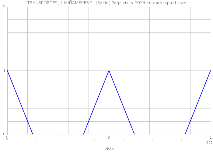 TRANSPORTES J L MIÑAMBRES SL (Spain) Page visits 2024 