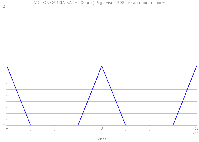 VICTOR GARCIA NADAL (Spain) Page visits 2024 