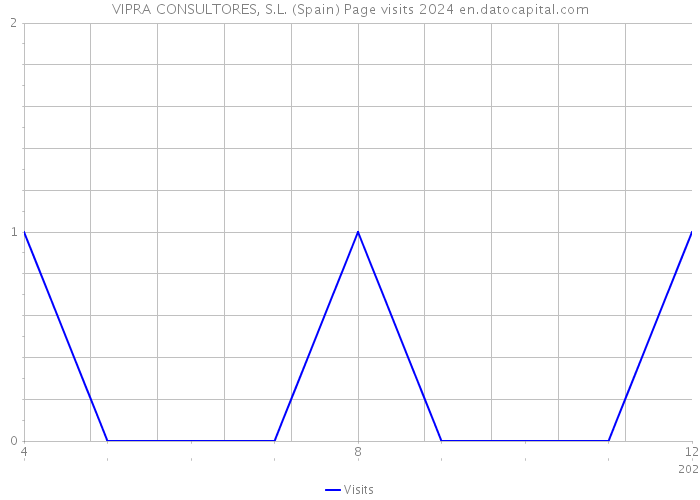 VIPRA CONSULTORES, S.L. (Spain) Page visits 2024 