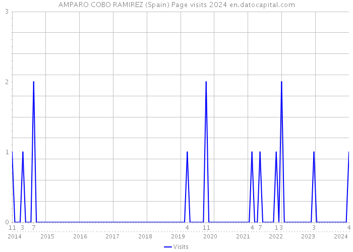 AMPARO COBO RAMIREZ (Spain) Page visits 2024 
