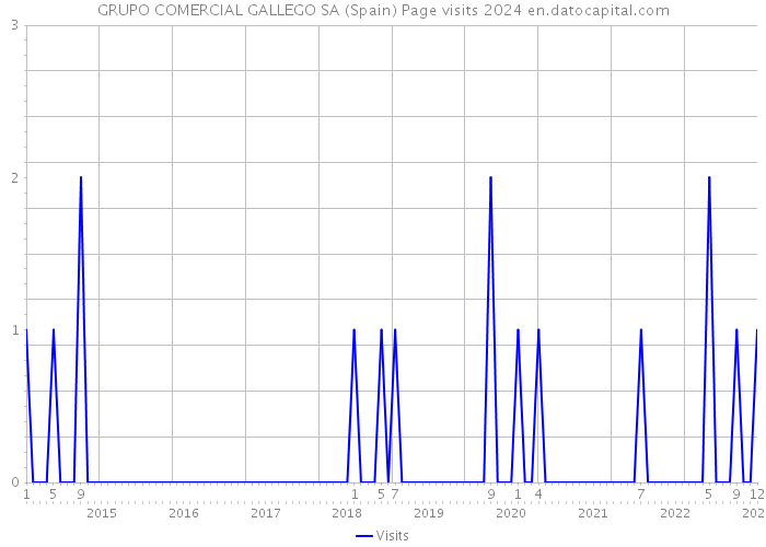 GRUPO COMERCIAL GALLEGO SA (Spain) Page visits 2024 
