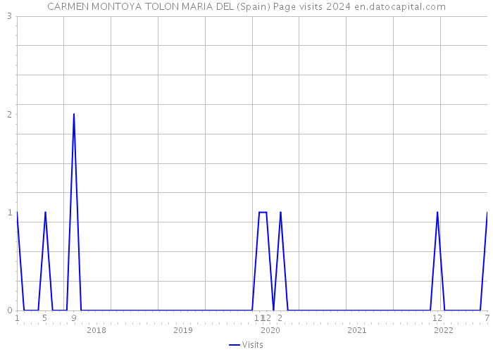 CARMEN MONTOYA TOLON MARIA DEL (Spain) Page visits 2024 