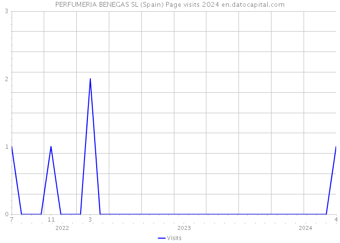 PERFUMERIA BENEGAS SL (Spain) Page visits 2024 