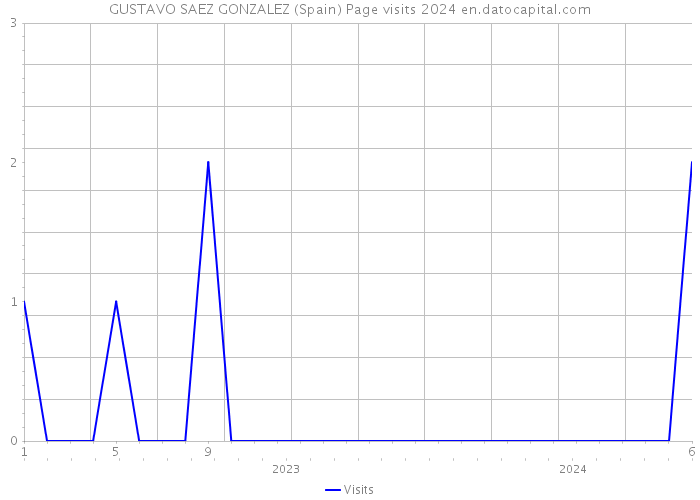 GUSTAVO SAEZ GONZALEZ (Spain) Page visits 2024 
