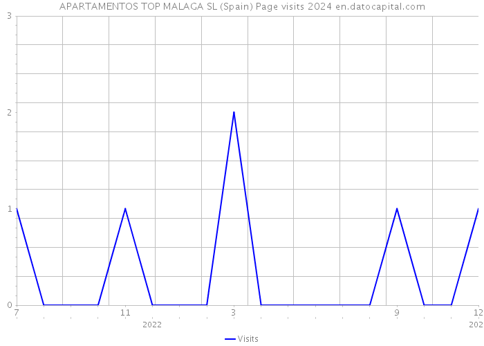 APARTAMENTOS TOP MALAGA SL (Spain) Page visits 2024 