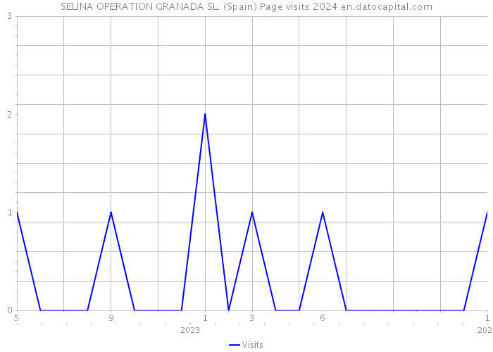 SELINA OPERATION GRANADA SL. (Spain) Page visits 2024 