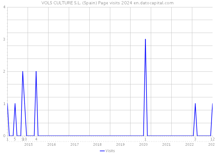 VOLS CULTURE S.L. (Spain) Page visits 2024 