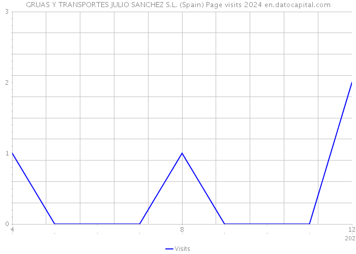 GRUAS Y TRANSPORTES JULIO SANCHEZ S.L. (Spain) Page visits 2024 