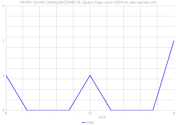 GRUPO OLIVAS CANALIZACIONES SL (Spain) Page visits 2024 