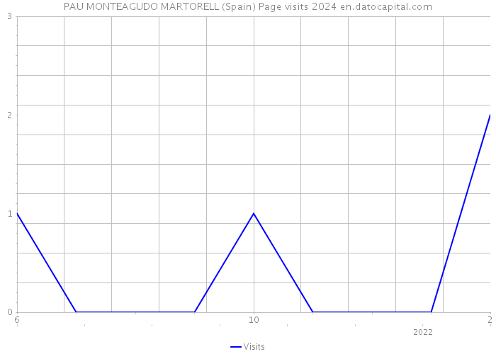 PAU MONTEAGUDO MARTORELL (Spain) Page visits 2024 