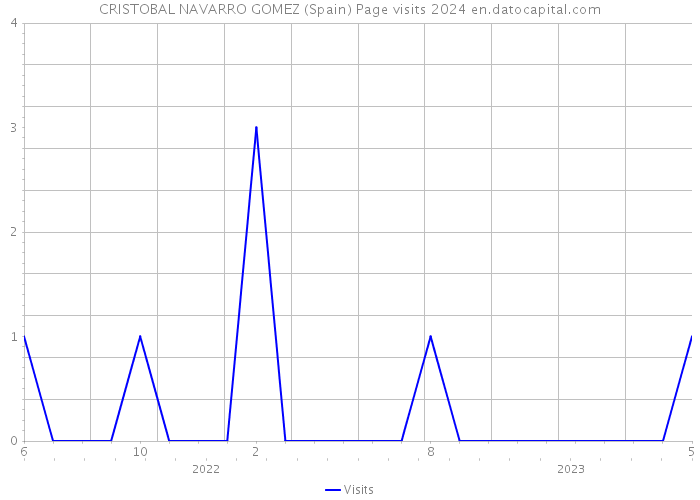 CRISTOBAL NAVARRO GOMEZ (Spain) Page visits 2024 
