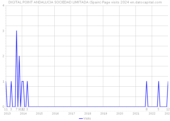 DIGITAL POINT ANDALUCIA SOCIEDAD LIMITADA (Spain) Page visits 2024 