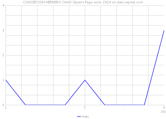 CONCEPCION HERRERO CANO (Spain) Page visits 2024 