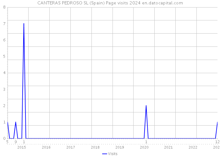 CANTERAS PEDROSO SL (Spain) Page visits 2024 