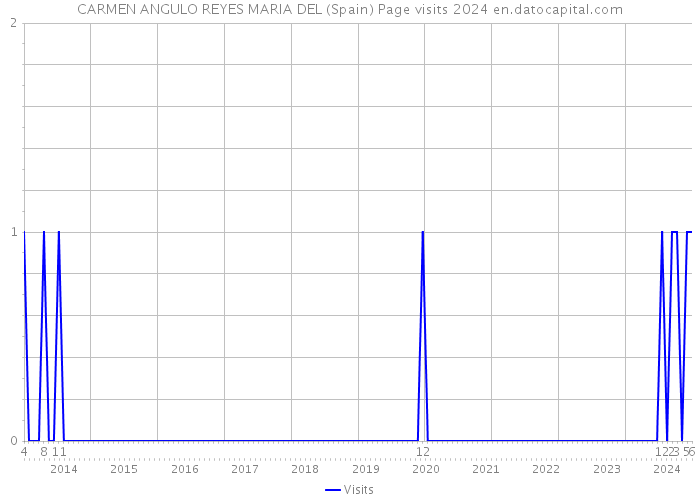 CARMEN ANGULO REYES MARIA DEL (Spain) Page visits 2024 