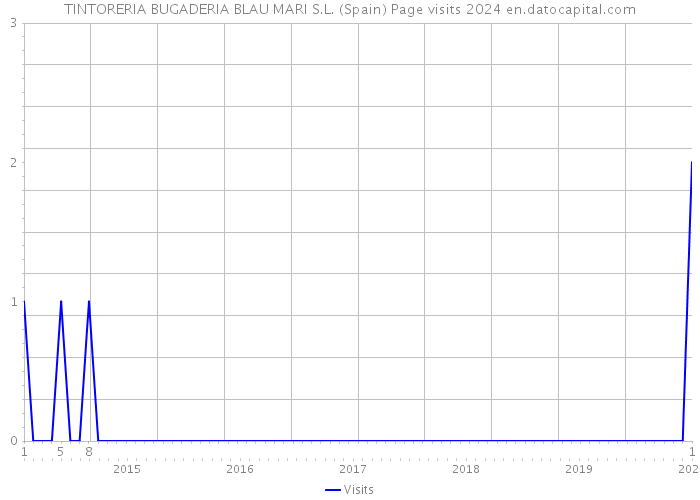 TINTORERIA BUGADERIA BLAU MARI S.L. (Spain) Page visits 2024 