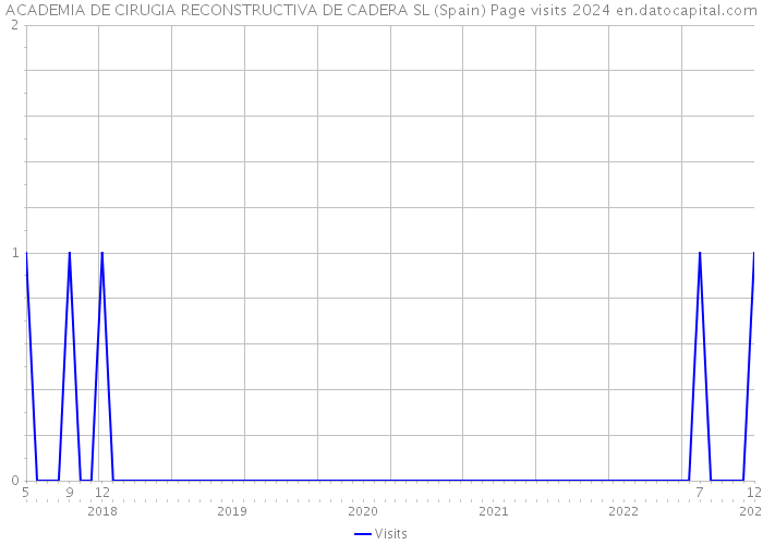 ACADEMIA DE CIRUGIA RECONSTRUCTIVA DE CADERA SL (Spain) Page visits 2024 