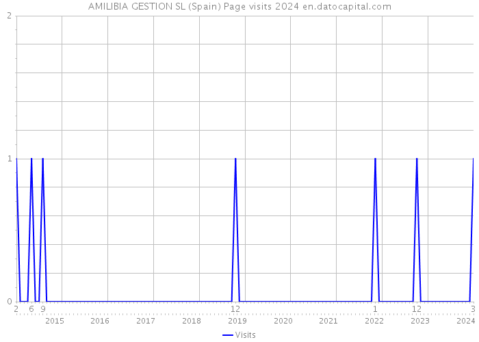 AMILIBIA GESTION SL (Spain) Page visits 2024 