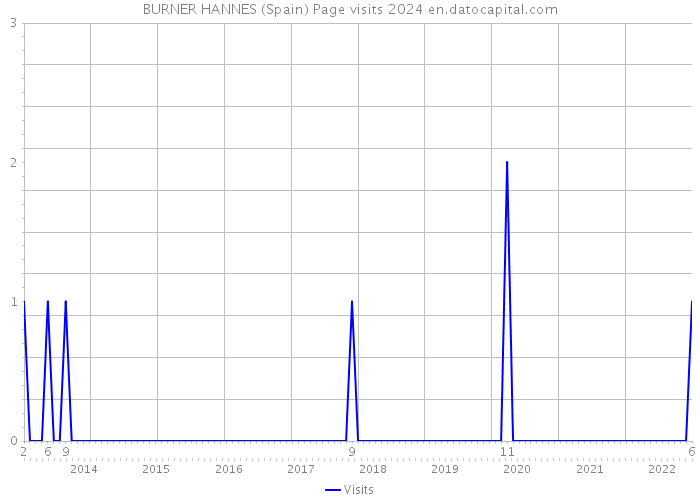 BURNER HANNES (Spain) Page visits 2024 