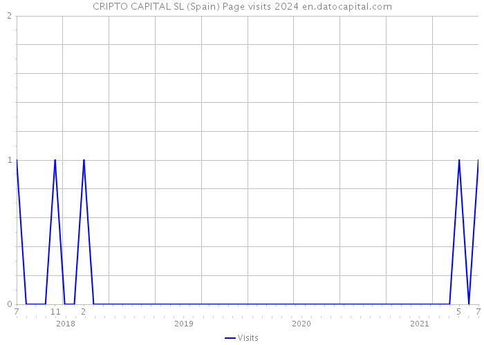 CRIPTO CAPITAL SL (Spain) Page visits 2024 