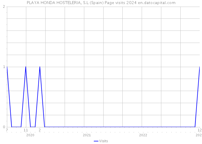 PLAYA HONDA HOSTELERIA, S.L (Spain) Page visits 2024 