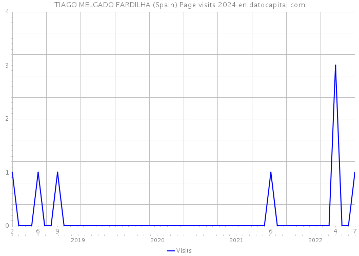 TIAGO MELGADO FARDILHA (Spain) Page visits 2024 