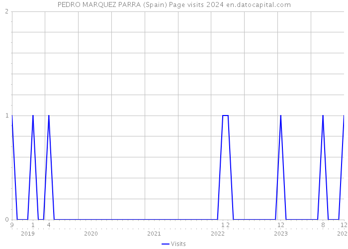 PEDRO MARQUEZ PARRA (Spain) Page visits 2024 