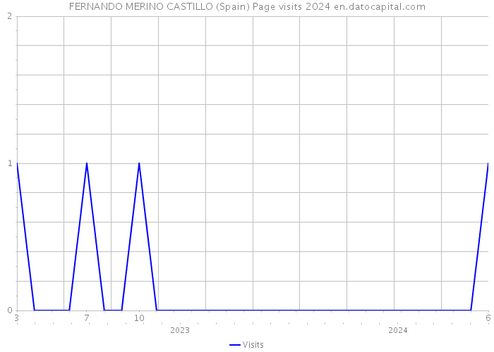 FERNANDO MERINO CASTILLO (Spain) Page visits 2024 