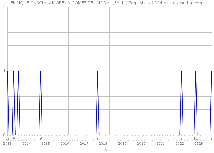 ENRIQUE GARCIA-AMORENA GOMEZ DEL MORAL (Spain) Page visits 2024 