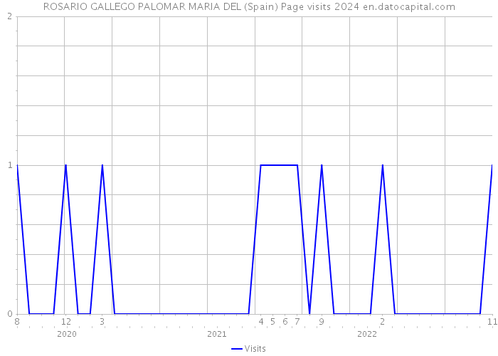 ROSARIO GALLEGO PALOMAR MARIA DEL (Spain) Page visits 2024 