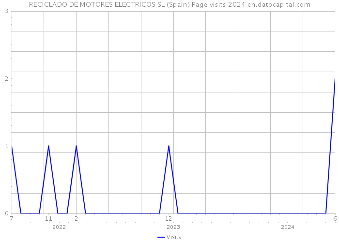 RECICLADO DE MOTORES ELECTRICOS SL (Spain) Page visits 2024 