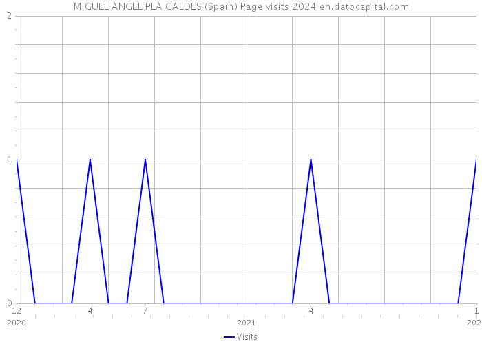 MIGUEL ANGEL PLA CALDES (Spain) Page visits 2024 
