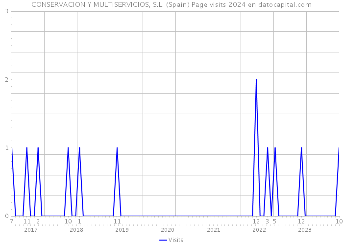 CONSERVACION Y MULTISERVICIOS, S.L. (Spain) Page visits 2024 