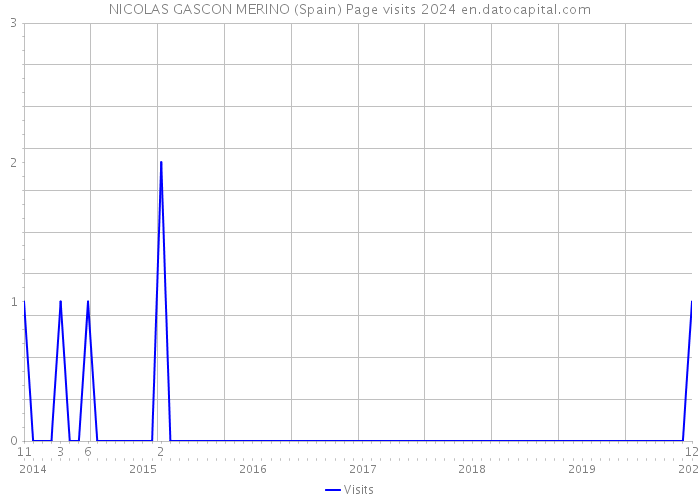 NICOLAS GASCON MERINO (Spain) Page visits 2024 