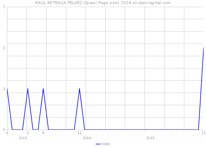RAUL ARTEAGA PELAEZ (Spain) Page visits 2024 